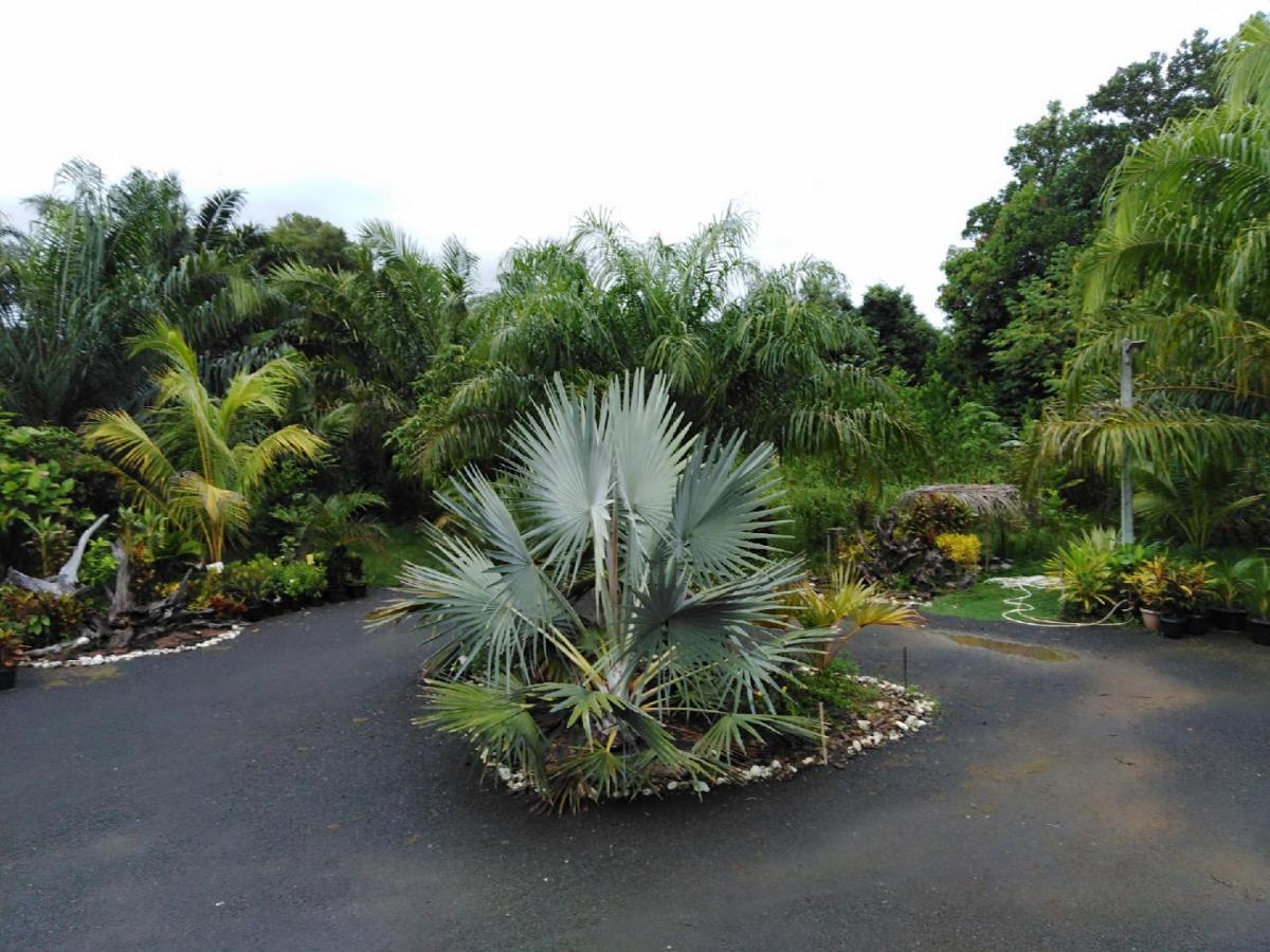 Krasom Homestay Phang Nga Ngoại thất bức ảnh