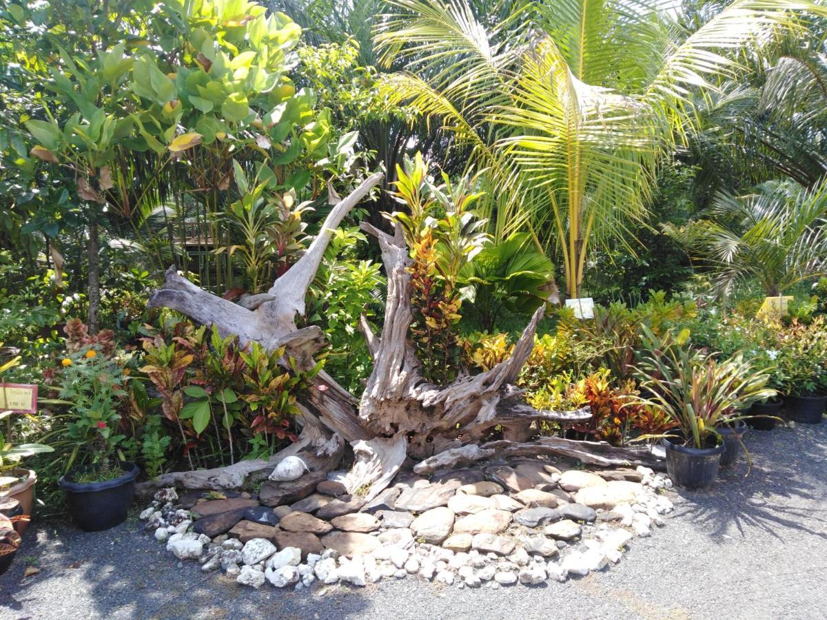 Krasom Homestay Phang Nga Ngoại thất bức ảnh