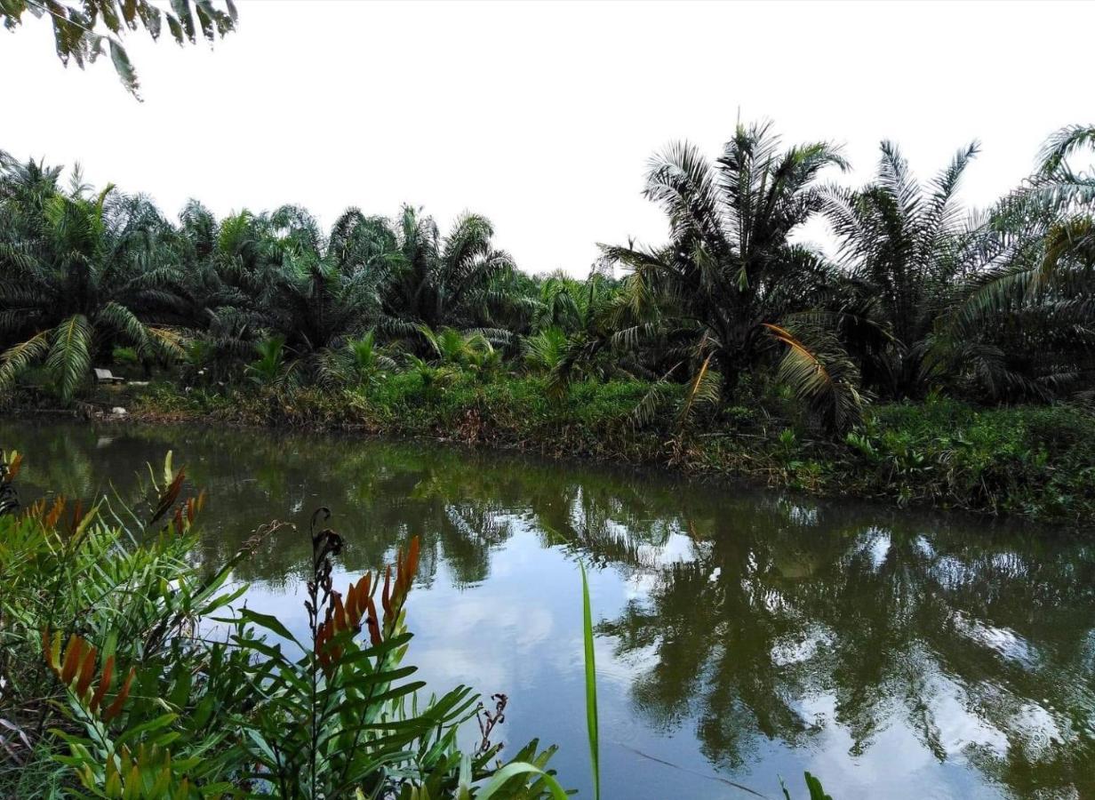 Krasom Homestay Phang Nga Ngoại thất bức ảnh