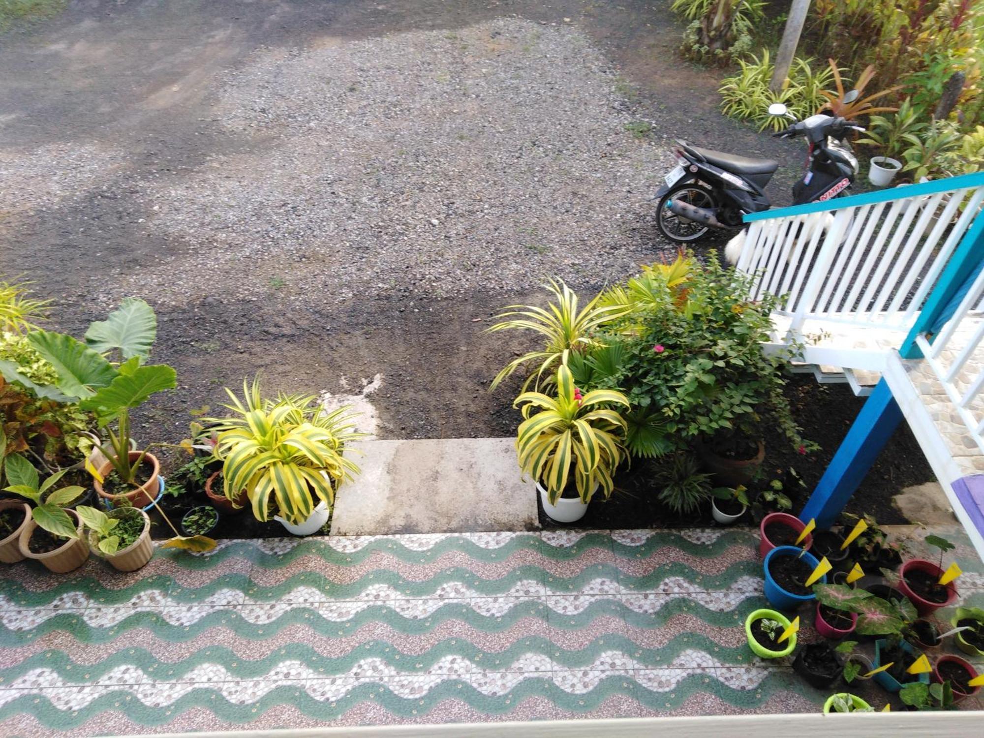 Krasom Homestay Phang Nga Phòng bức ảnh