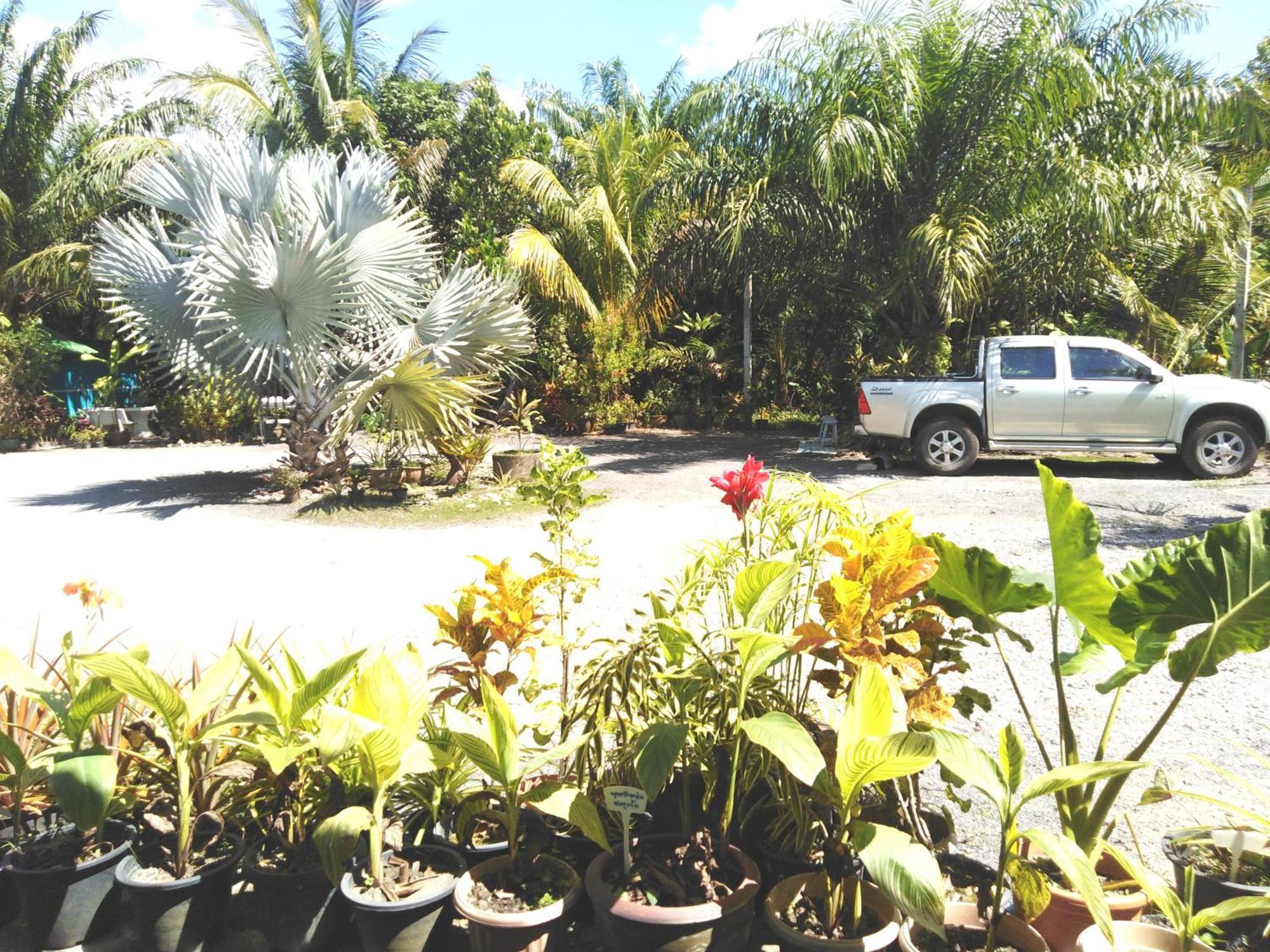 Krasom Homestay Phang Nga Phòng bức ảnh